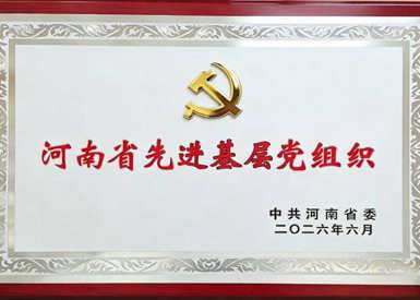 热烈祝贺！中共郑州市第九中学委员会荣获“河南省先进基层党组织”